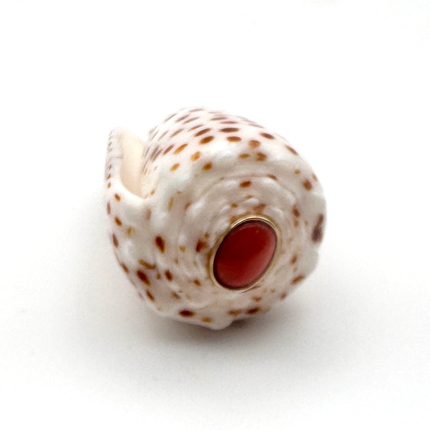 A spiral shell pendant with a white base, brown speckled pattern, and a central coral gemstone in a gold setting, shown on a plain white background.