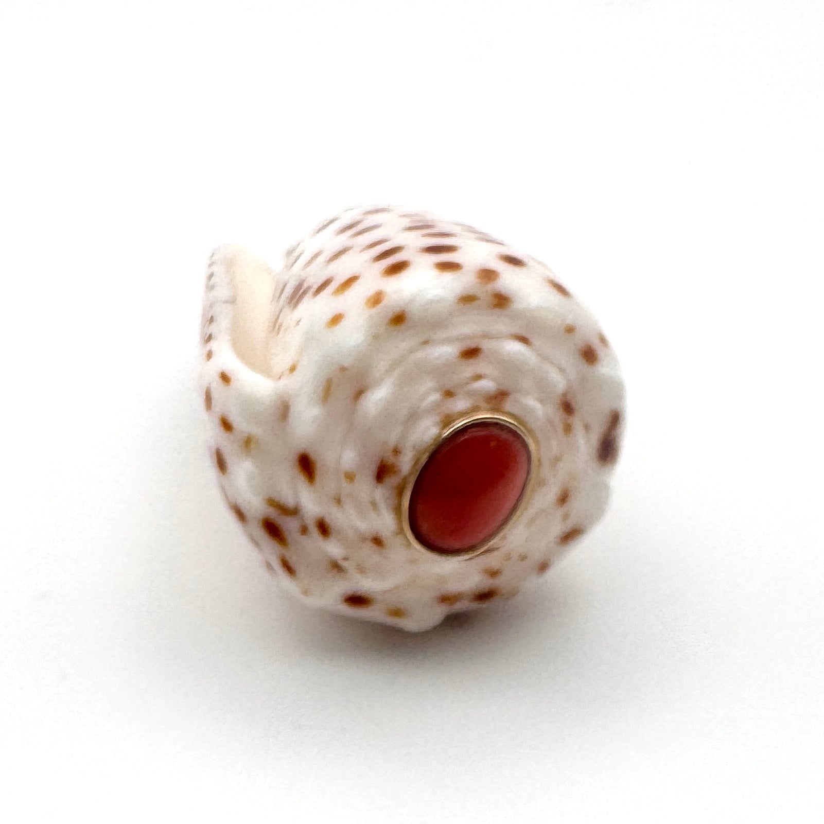A spiral shell pendant with a white base, brown speckled pattern, and a central coral gemstone in a gold setting, shown on a plain white background.